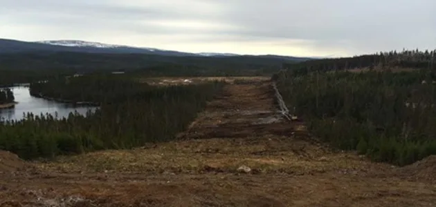 Forestry & Remote Access - JCL Investments